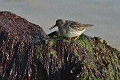 22 01 15_0851_edited-1